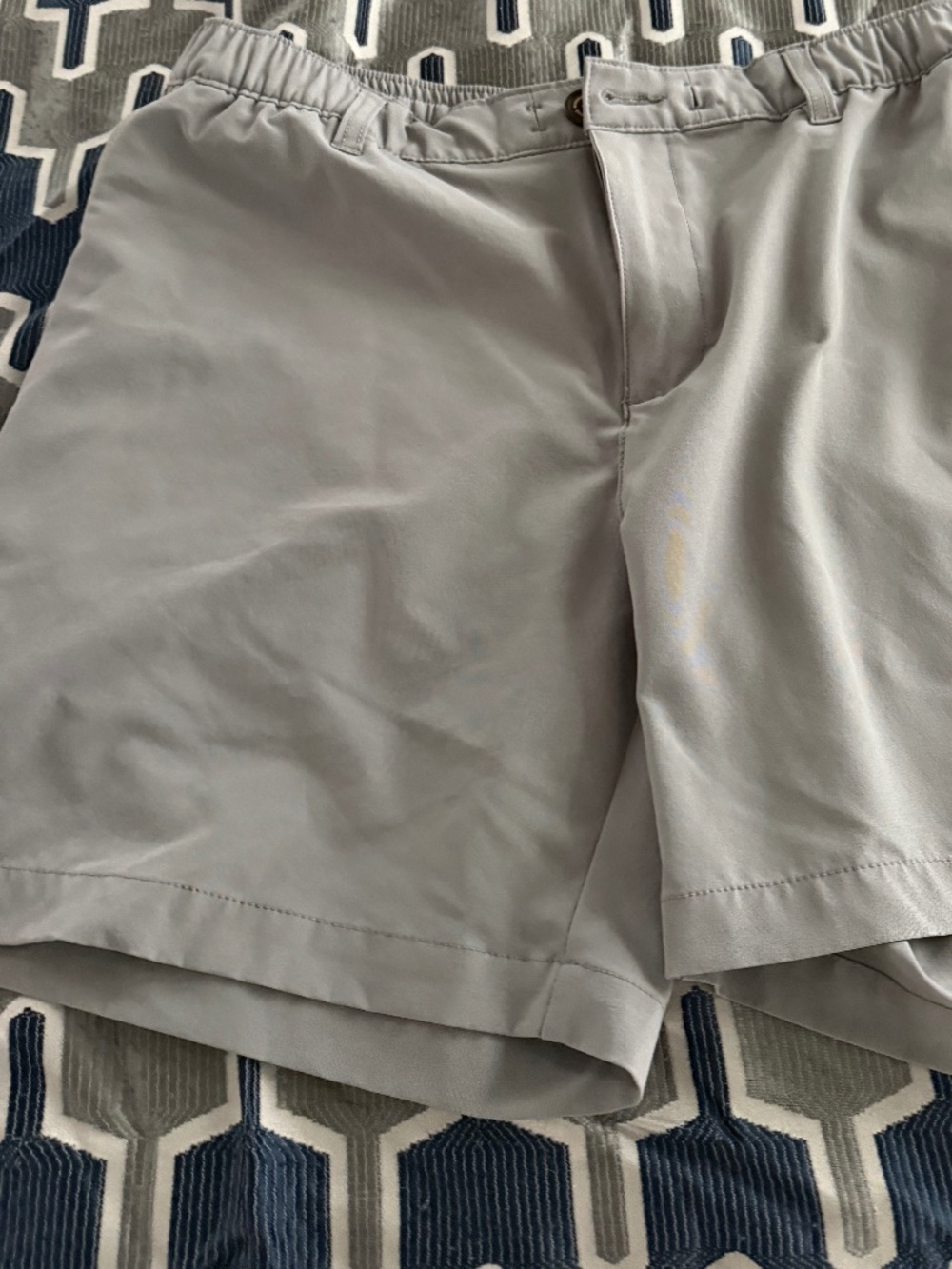 Chubbies Shorts